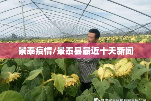 期货if行情（期货l2行情）