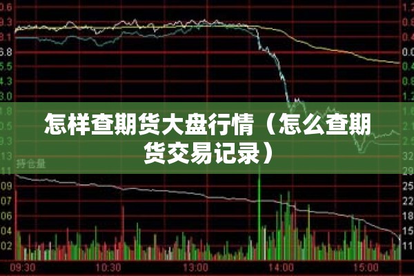 怎样查期货大盘行情(怎么查期货交易记录) 怎样查期货大盘行情(怎么查期货交易记录)