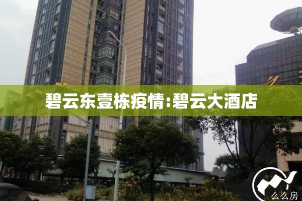 碧云东壹栋疫情:碧云大酒店