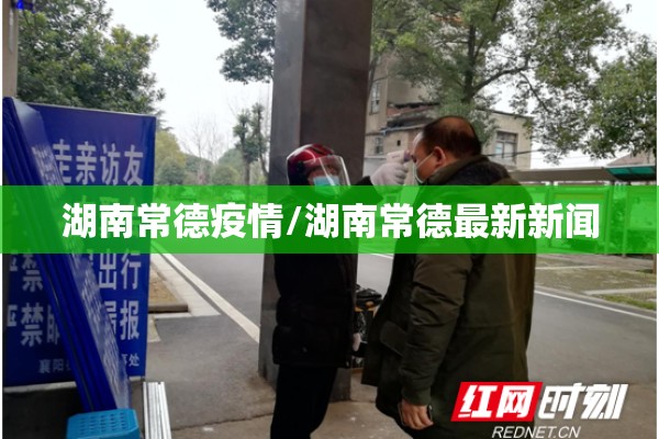 全国非洲猪瘟疫情:非洲猪瘟疫情暴发