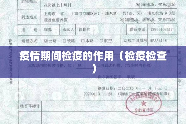 疫情期间检疫的作用(检疫检查) 疫情期间检疫的作用(检疫检查)