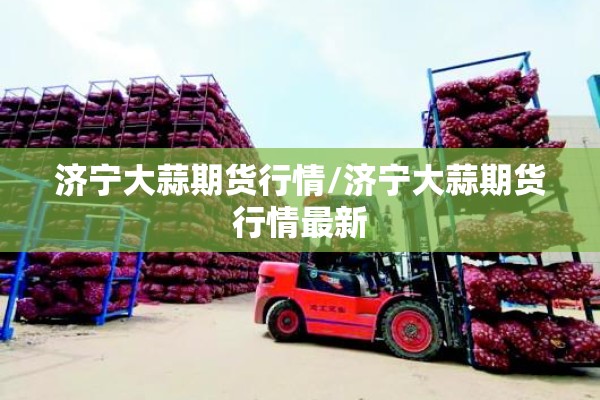 济宁大蒜期货行情/济宁大蒜期货行情最新 济宁大蒜期货行情/济宁大蒜期货行情最新
