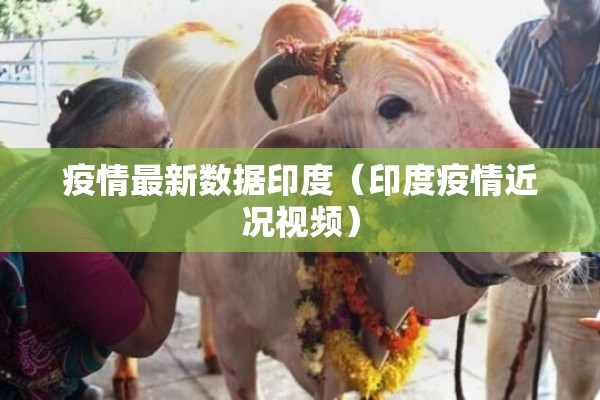 【焦煤2105期货行情/焦煤期货行情实时行情2601】