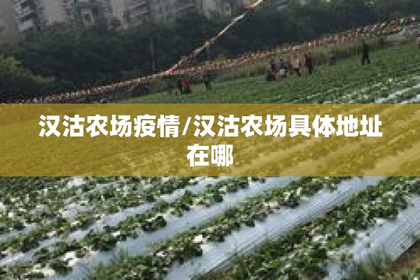黑河疫情源头是哪（黑河处于）