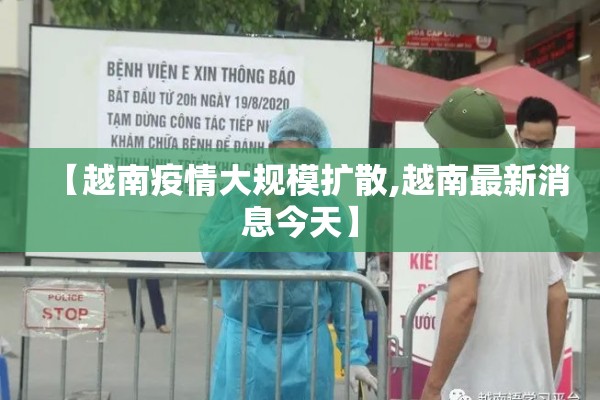 疫情期间在家做了什么/疫情期间应该做什么