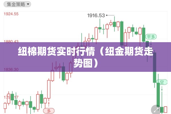 PP期货期货行情（pp期货最新行情）