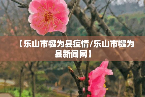 红枣最新期货行情价格/红枣期货今日价格走势
