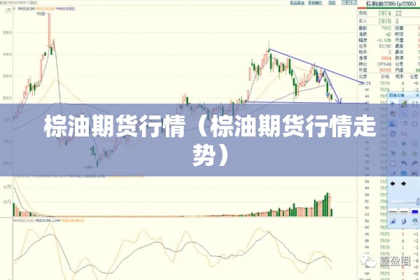 棕油期货行情(棕油期货行情走势) 棕油期货行情(棕油期货行情走势)