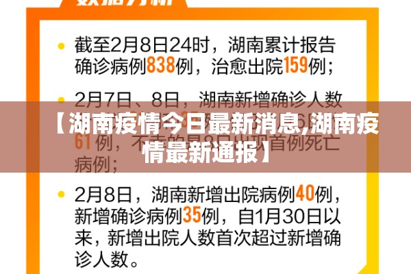 期货行情最好手机软件:期货行情最好手机软件是什么