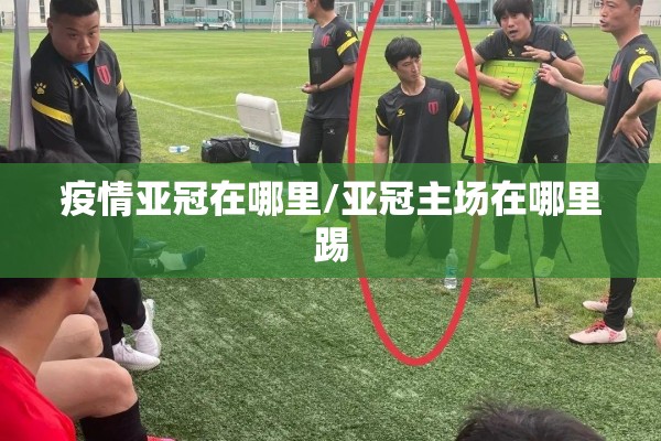 百度实时疫情地图/百度实时疫情地图查询