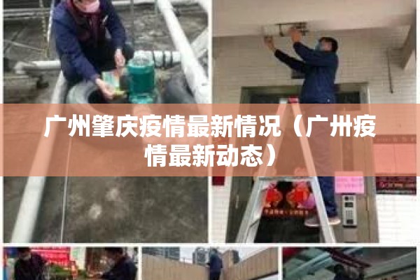 广州肇庆疫情最新情况(广卅疫情最新动态) 广州肇庆疫情最新情况(广卅疫情最新动态)