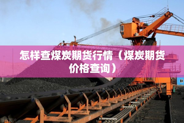 期货竞价行情/期货集合竞价讲解视频教程