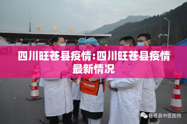 疫情督查整改报告:疫情督查整改报告范文
