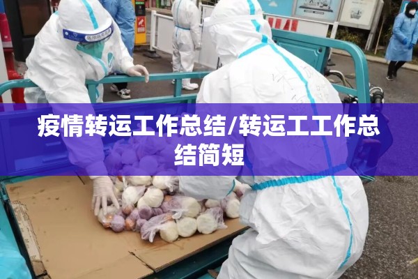 疫情转运工作总结/转运工工作总结简短