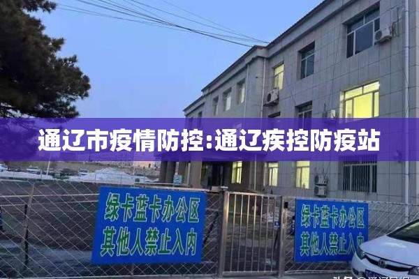 疫情转运工作总结/转运工工作总结简短
