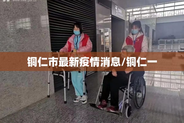 疫情转运工作总结/转运工工作总结简短