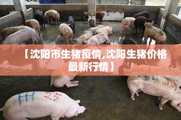 【病毒疫情,广东最近是什么病毒疫情】