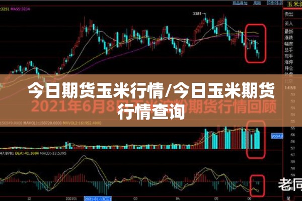 今日期货玉米行情/今日玉米期货行情查询 今日期货玉米行情/今日玉米期货行情查询