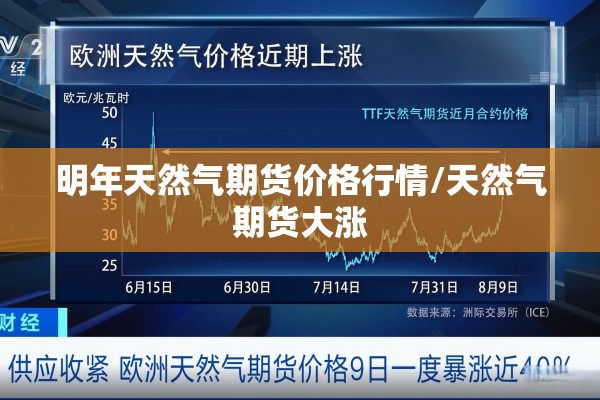 明年天然气期货价格行情/天然气期货大涨 明年天然气期货价格行情/天然气期货大涨