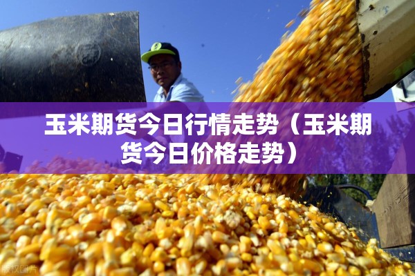 玉米期货今日行情走势(玉米期货今日价格走势) 玉米期货今日行情走势(玉米期货今日价格走势)