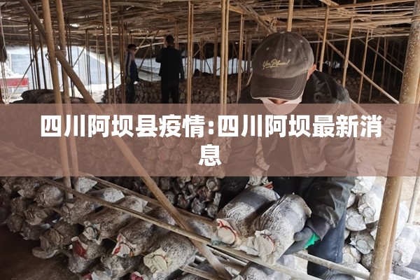 2022年4月3日疫情:2022年4月20日全国疫情报告