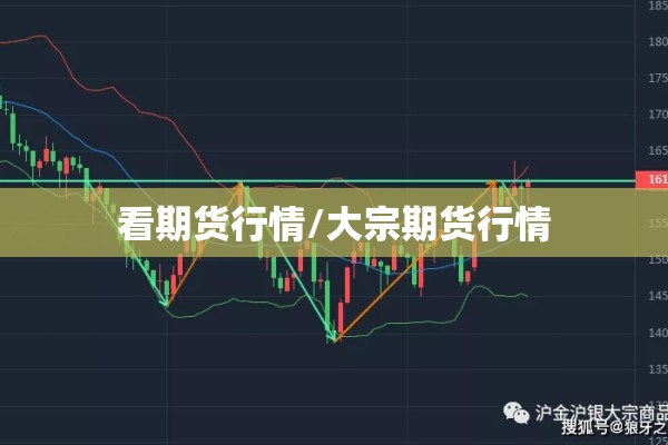 【数读全球疫情/全球疫情中文】