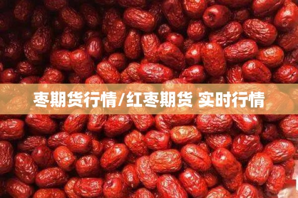 网上怎么看期货指数行情（如何看期货）