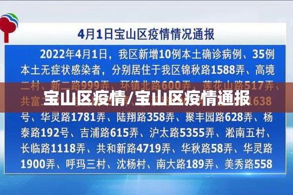 宝山区疫情/宝山区疫情通报