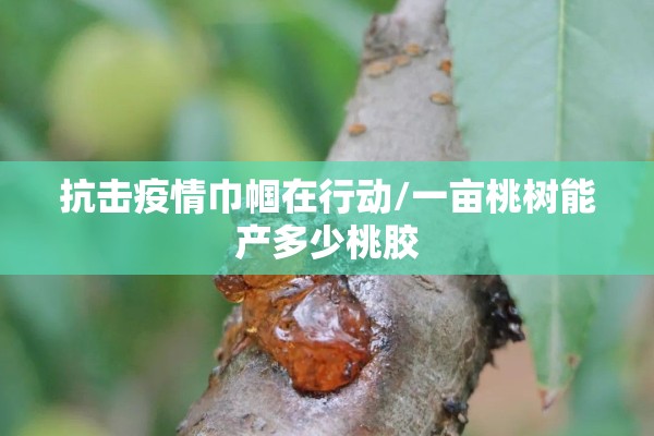 宁波大学疫情/宁波大学今天学校有没有好消息