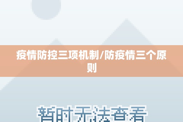 疫情防控三项机制/防疫情三个原则 疫情防控三项机制/防疫情三个原则