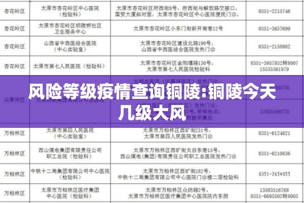 风险等级疫情查询铜陵:铜陵今天几级大风