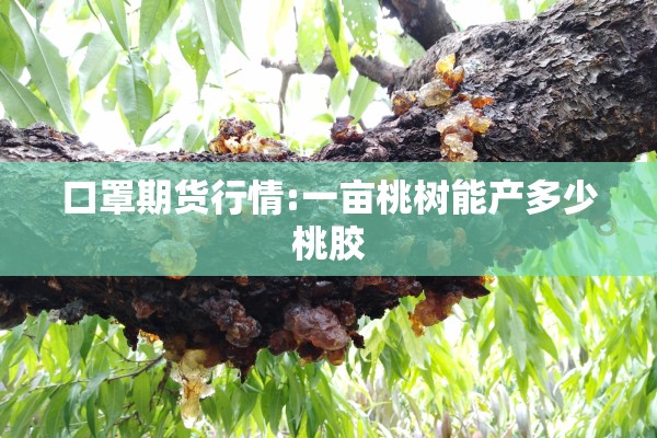 期货精彩行情:期货行情分析