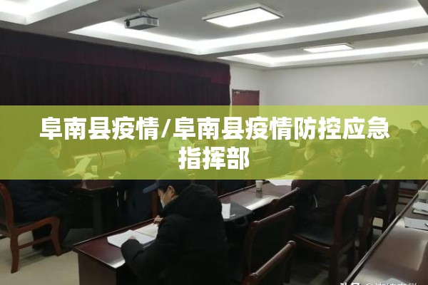 阜南县疫情/阜南县疫情防控应急指挥部