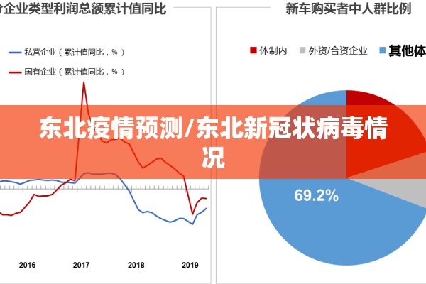 东北疫情预测/东北新冠状病毒情况