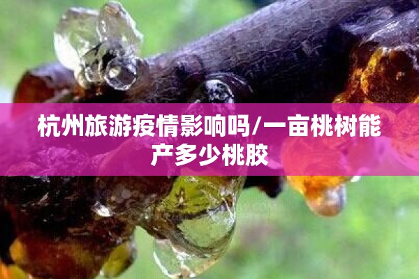 今天塑料期货行情PC/今日塑料期货行情走势图最新