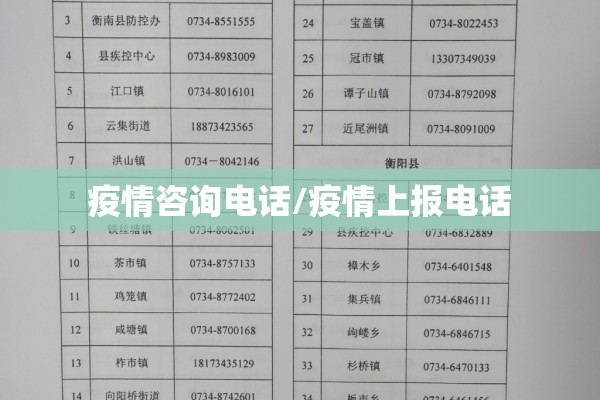 期货牛行情/牛期货价格走势