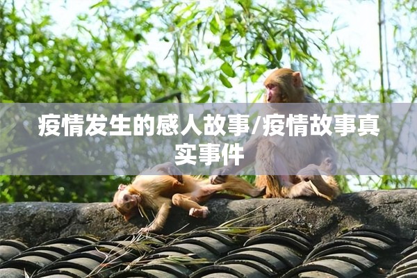 疫情发生的感人故事/疫情故事真实事件