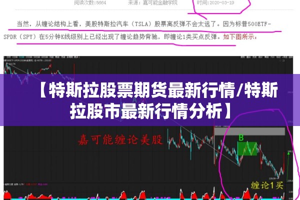 棉花期货行情分析图/棉花期货行情实时更新