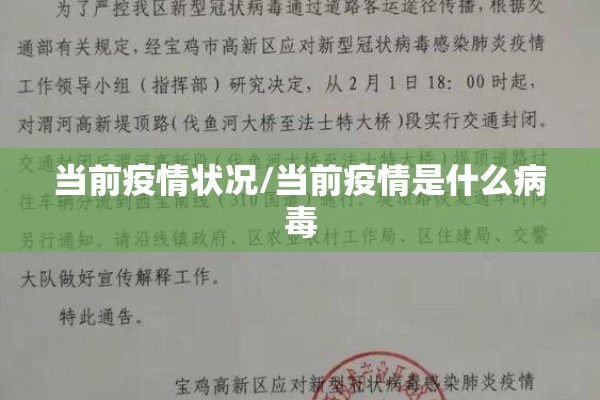 当前疫情状况/当前疫情是什么病毒 当前疫情状况/当前疫情是什么病毒