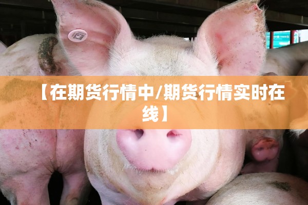【在期货行情中/期货行情实时在线】 【在期货行情中/期货行情实时在线】