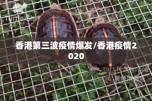 香港第三波疫情爆发/香港疫情2020
