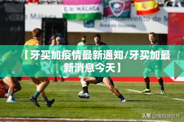 【牙买加疫情最新通知/牙买加最新消息今天】 【牙买加疫情最新通知/牙买加最新消息今天】
