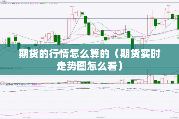 棕榈期货行情/棕榈期货今年涨了多少