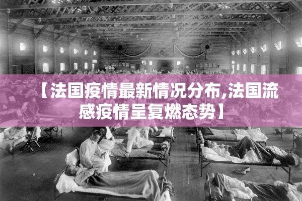 【法国疫情最新情况分布,法国流感疫情呈复燃态势】 【法国疫情最新情况分布,法国流感疫情呈复燃态势】