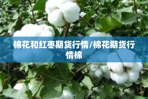 棉花和红枣期货行情/棉花期货行情棉 棉花和红枣期货行情/棉花期货行情棉