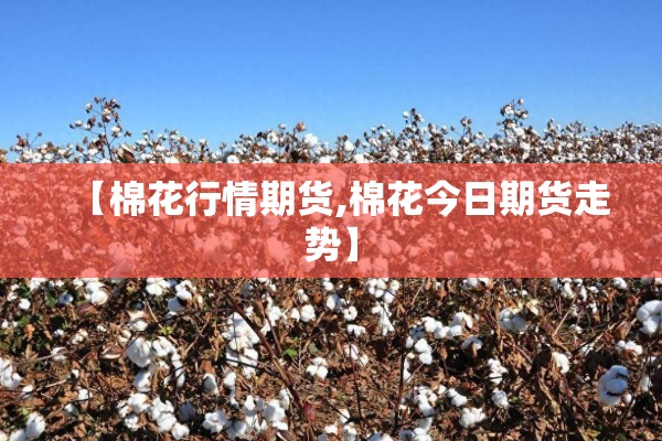 腾讯公司疫情防控工作/疫情防控期间平台使用