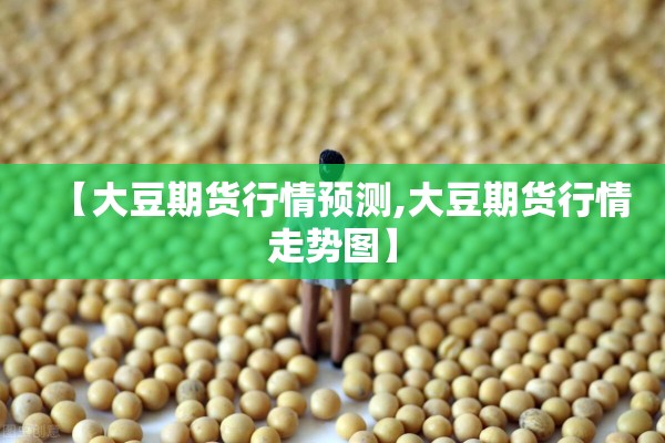 疫情防控保安600一天/疫情防控工作人员