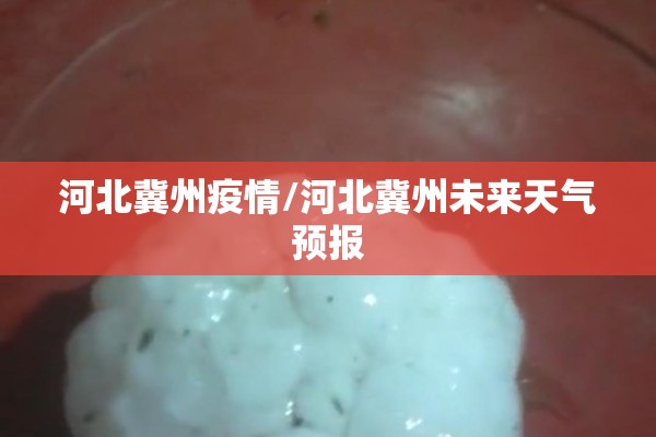 新冠疫情实时/新冠疫情适时动态