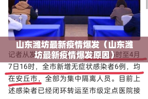 【罗汶钢期货行情/螺纹钢主力期货行情】