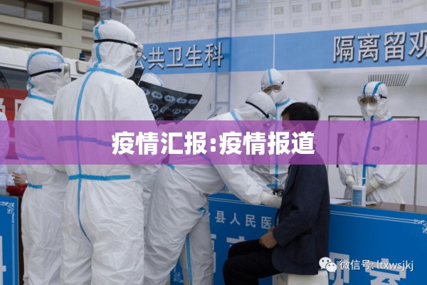 疫情汇报:疫情报道